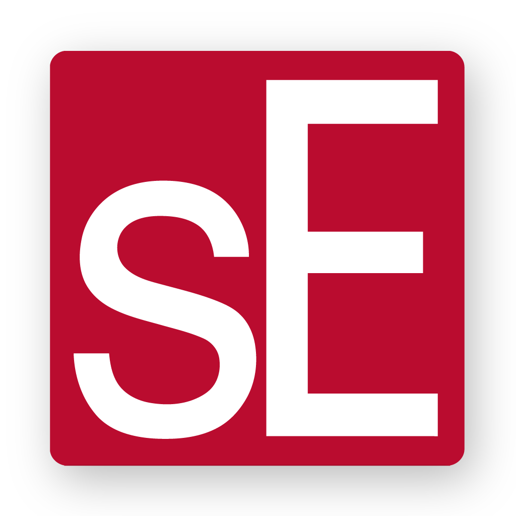 sE Electronics